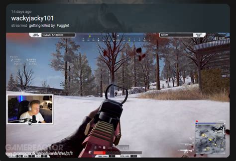 pubg report|pubg report pc.